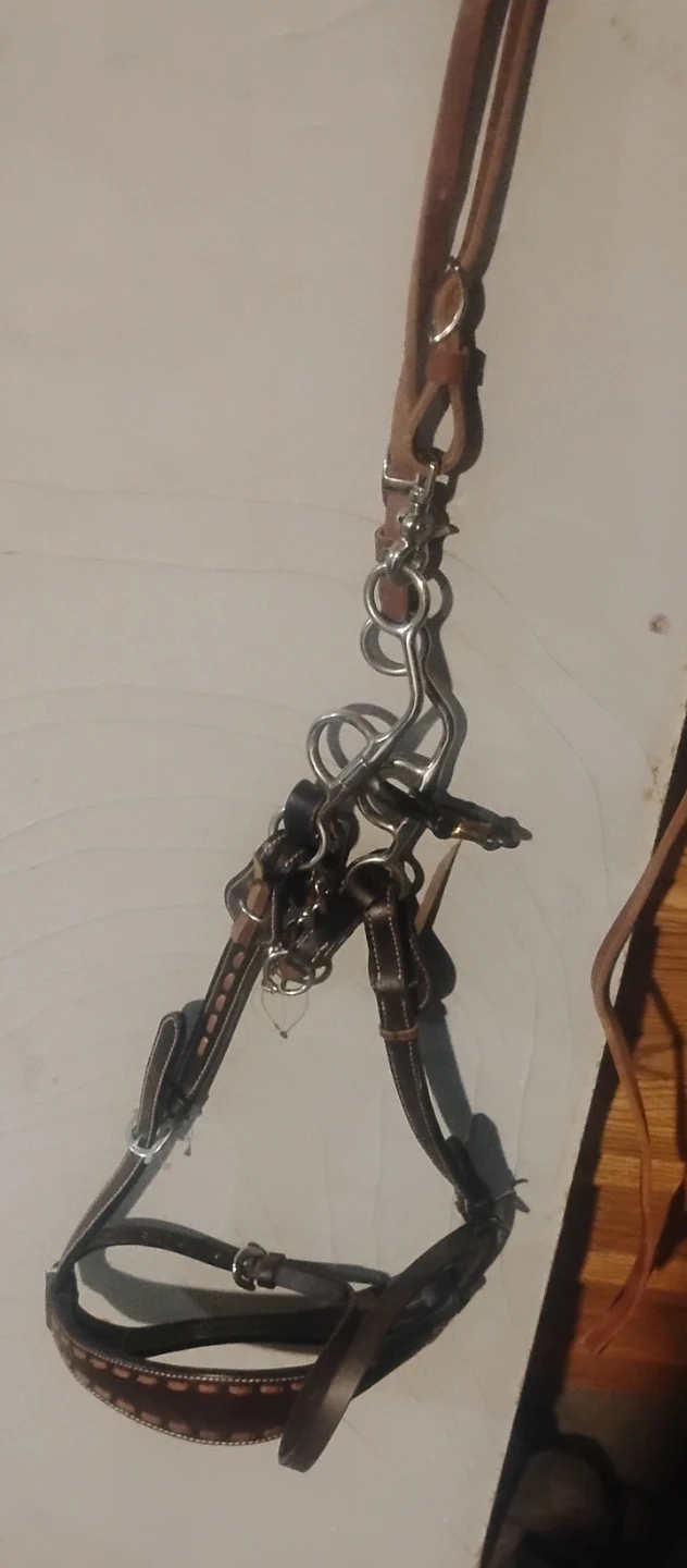 3 Leather Horse Bridle and Bit Set - photo 3