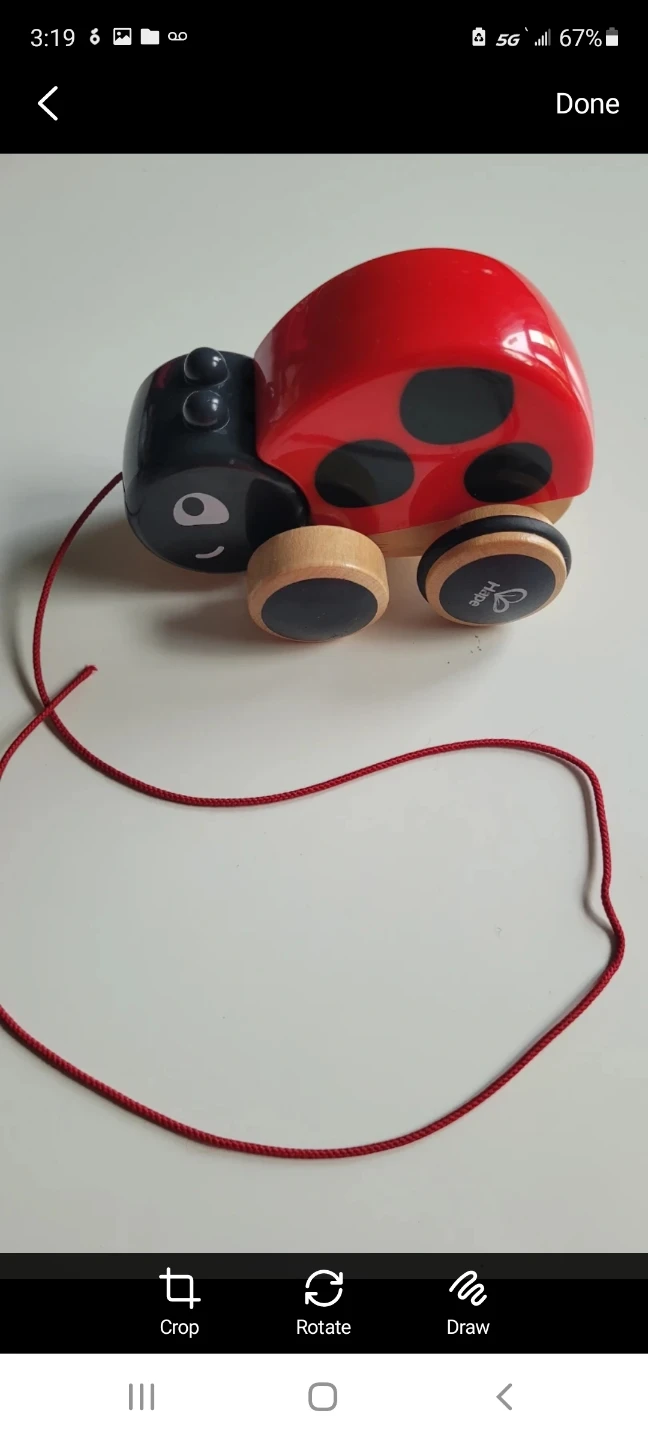 Wooden Ladybug Pull Toy & Puzzles - photo 4