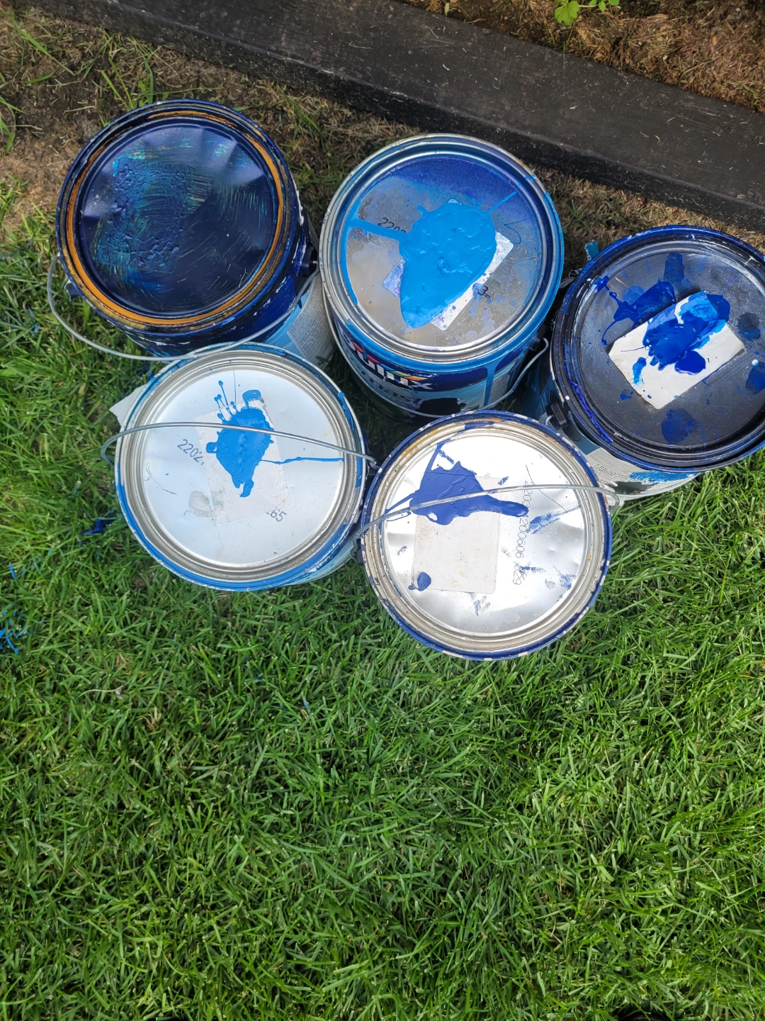 Dulux Paint Cans - Blue