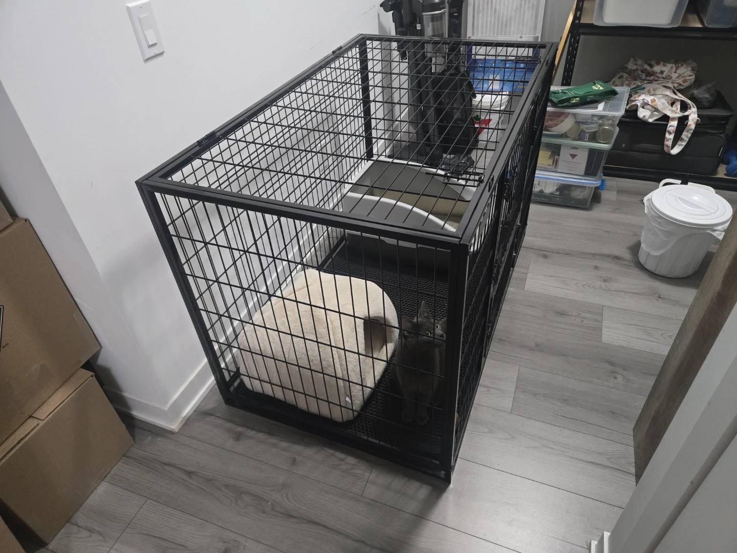 Black Metal Dog/Cat Crate - photo 3