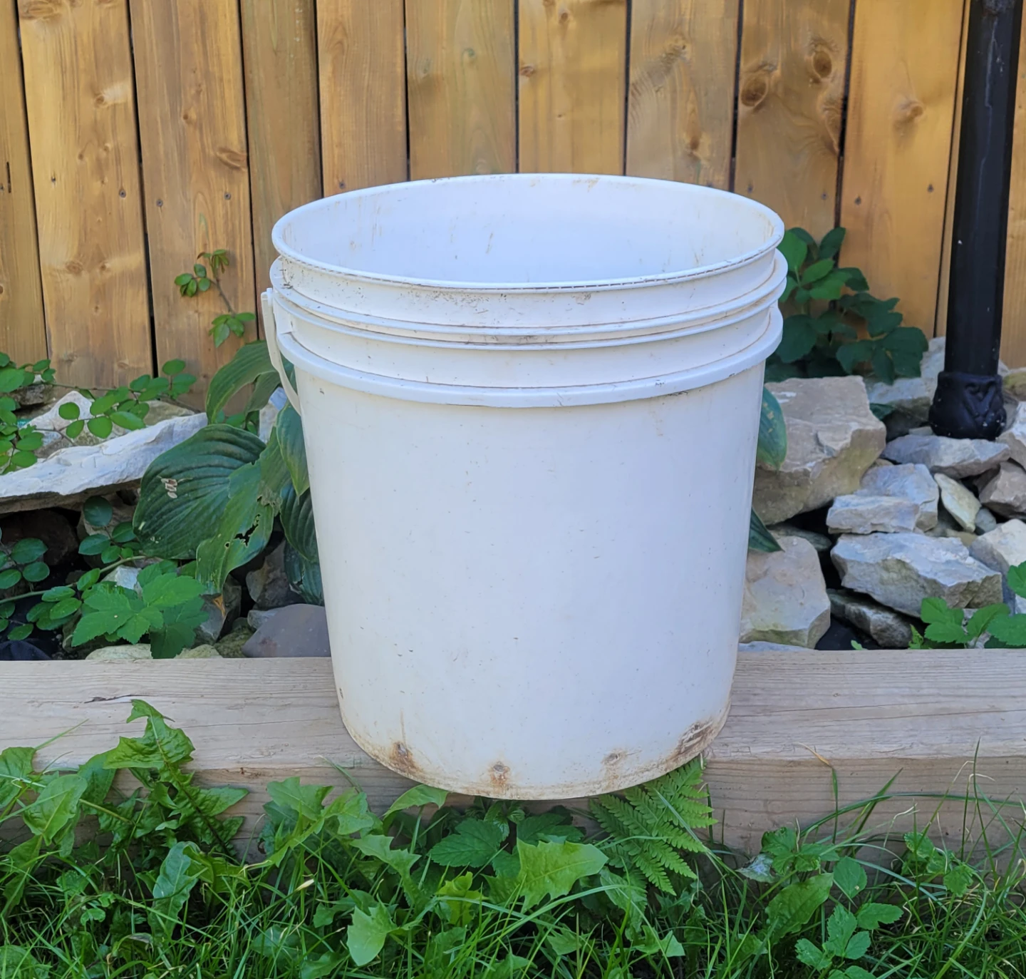 Food Safe Buckets (5 Gallon)