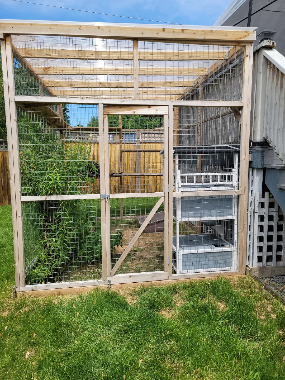 Outdoor Cat Enclosure with Shelves