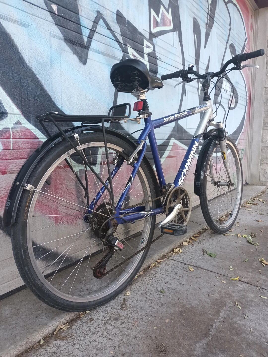 Schwinn Bike - photo 3