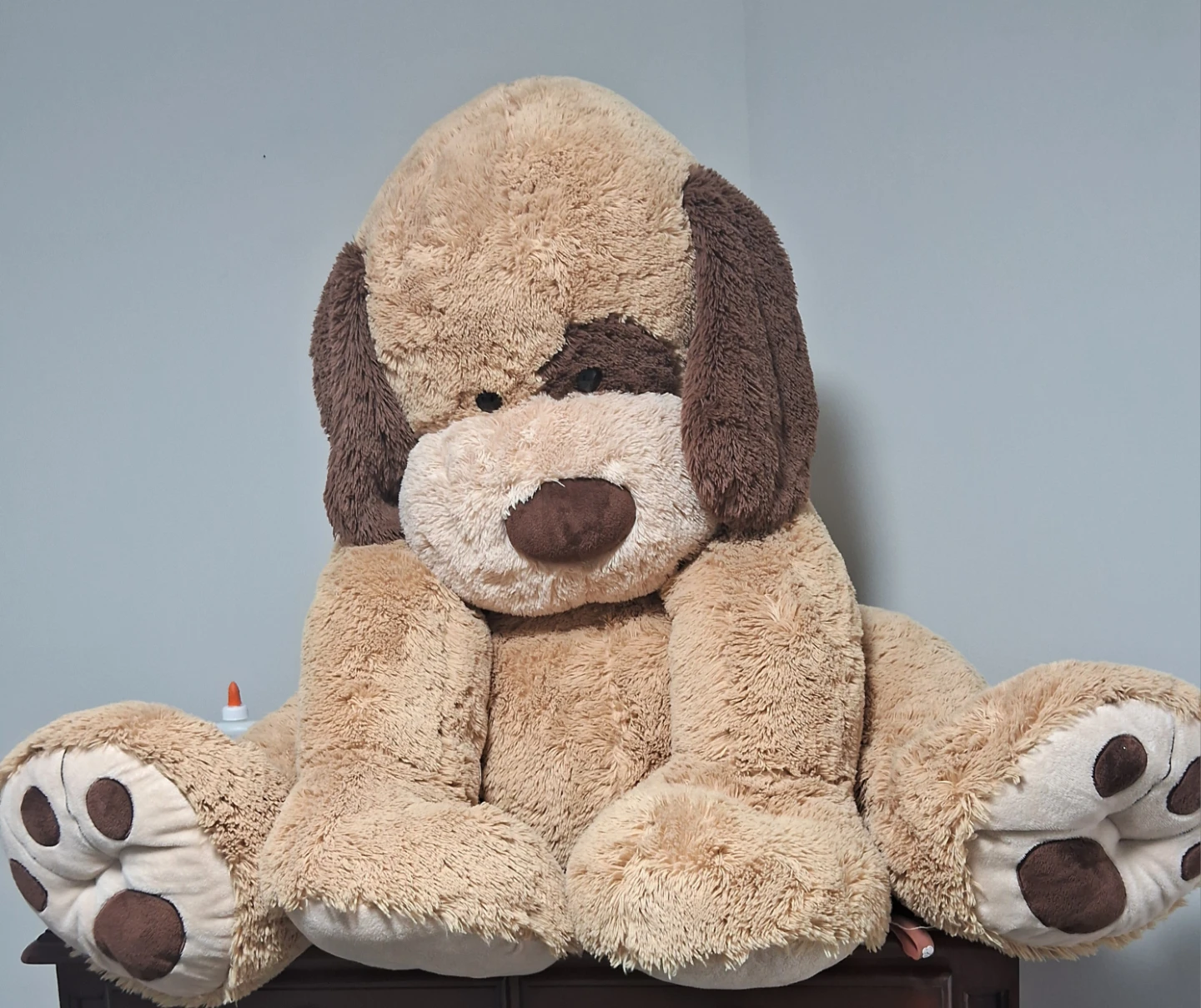 Teddy Bear, Rolling toy and table chair