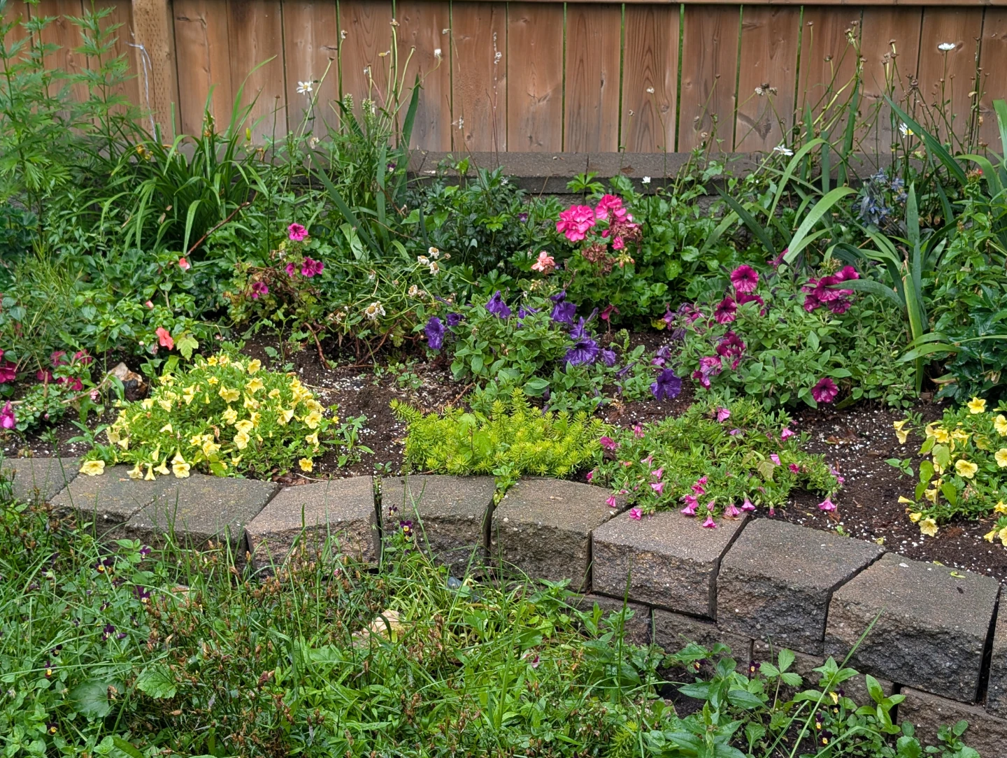 Gardening Services - photo 3