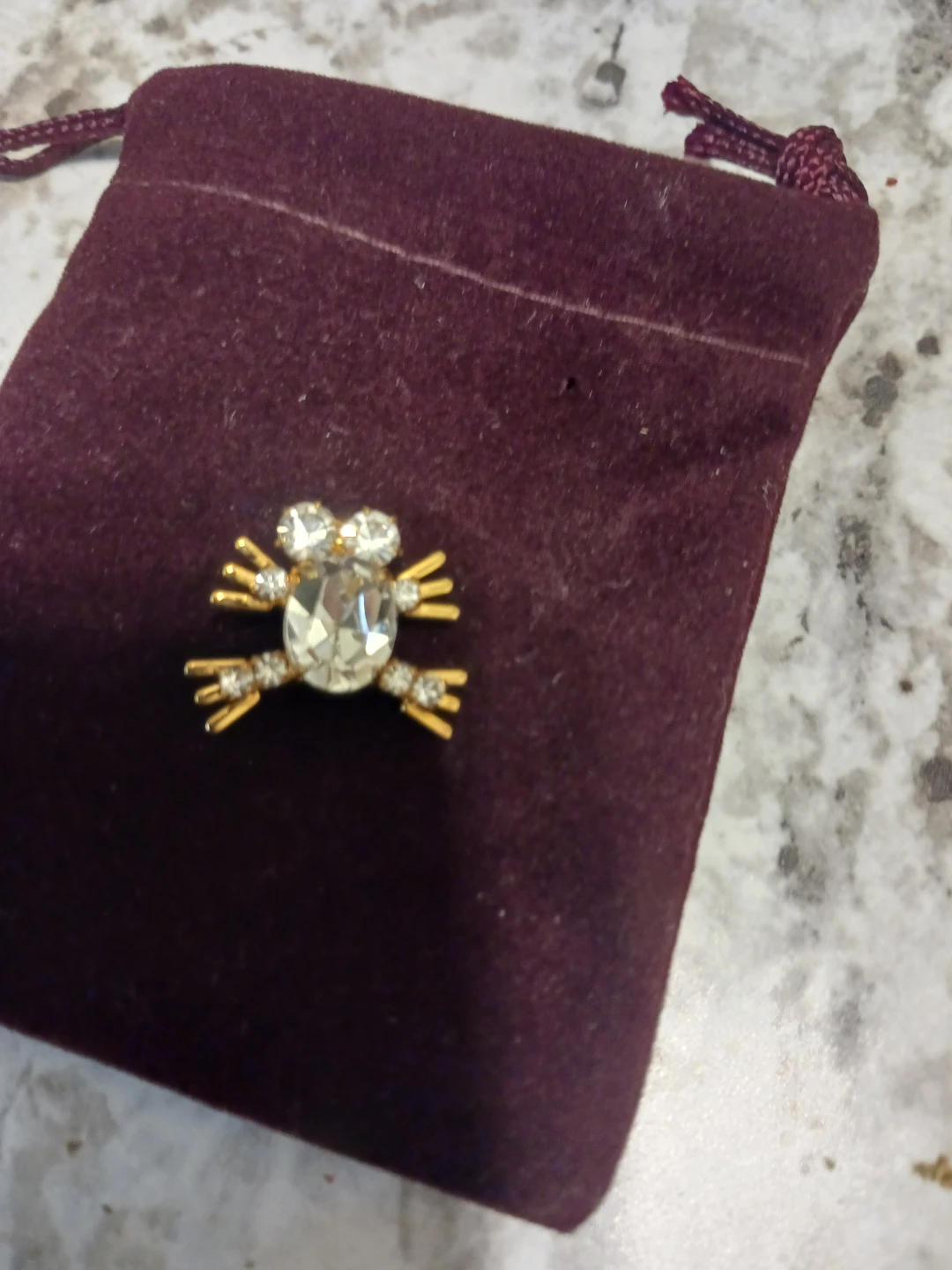 Sparkly Frog Brooch