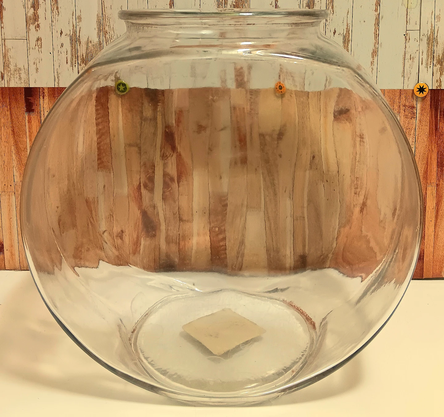 🐡Glass Fish Bowl🐠