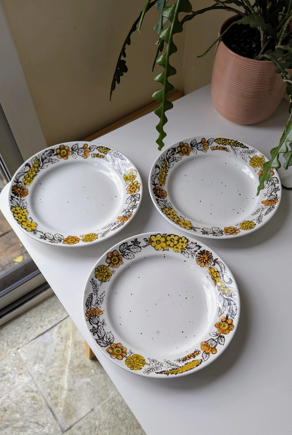Vintage Sampson Bridgwood 'Harvest Time' 8" Side Plates