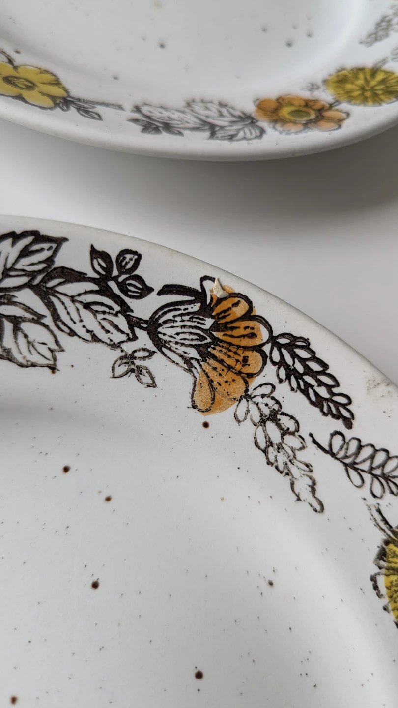 Vintage Sampson Bridgwood 'Harvest Time' 8" Side Plates - photo 3