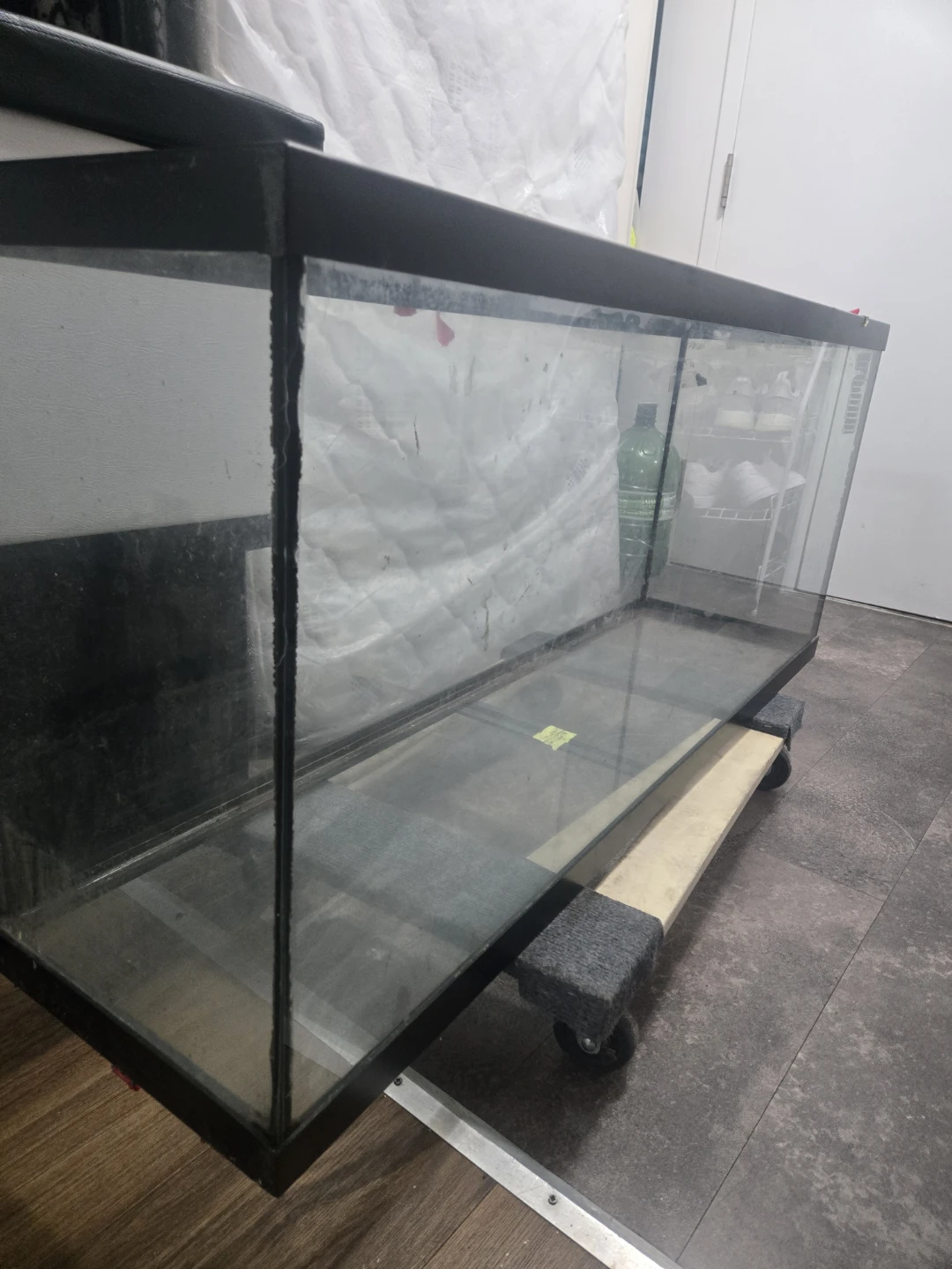 Large Aquarium Tank