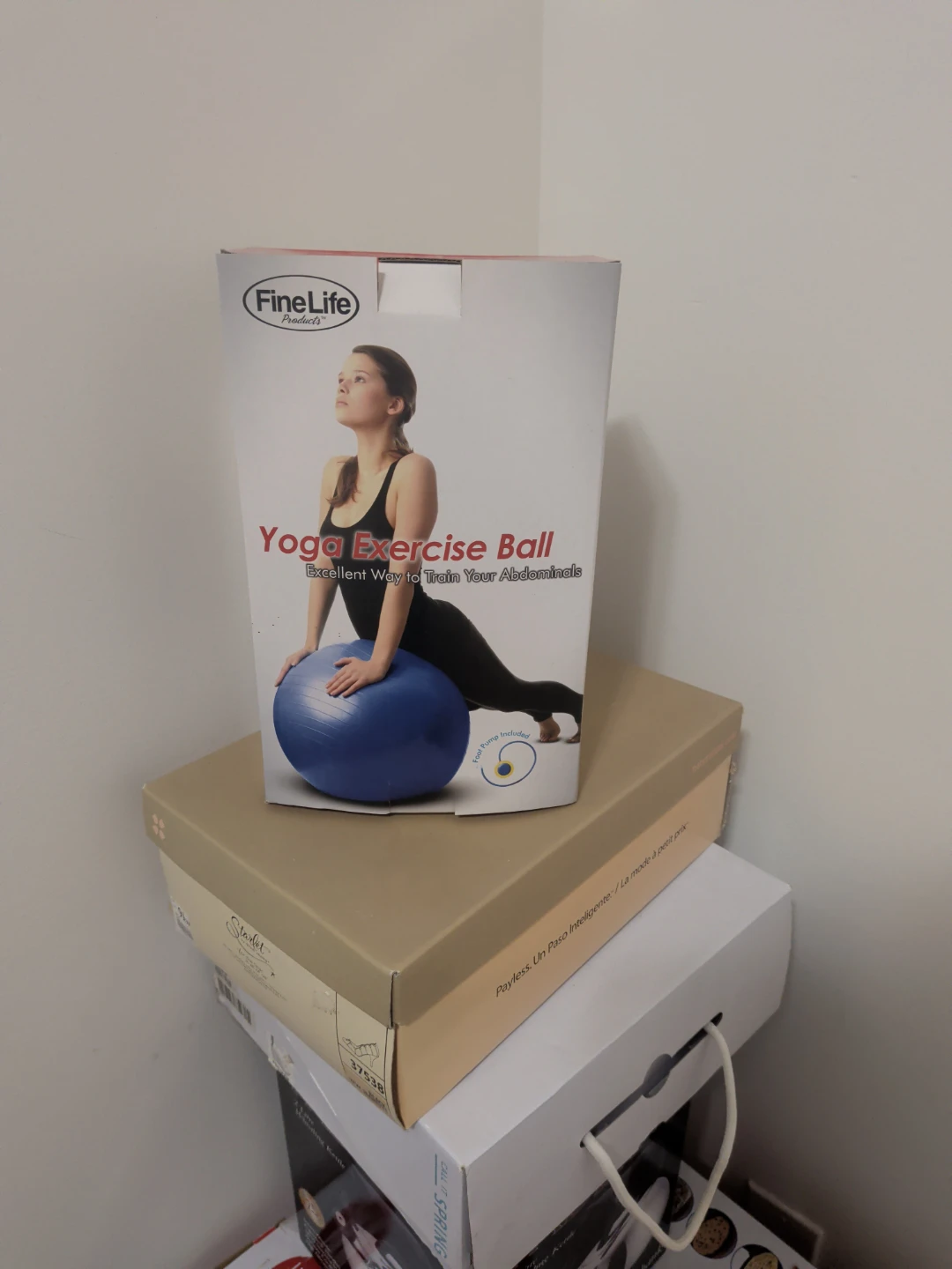 FineLife Yoga Exercise Ball with Pump
