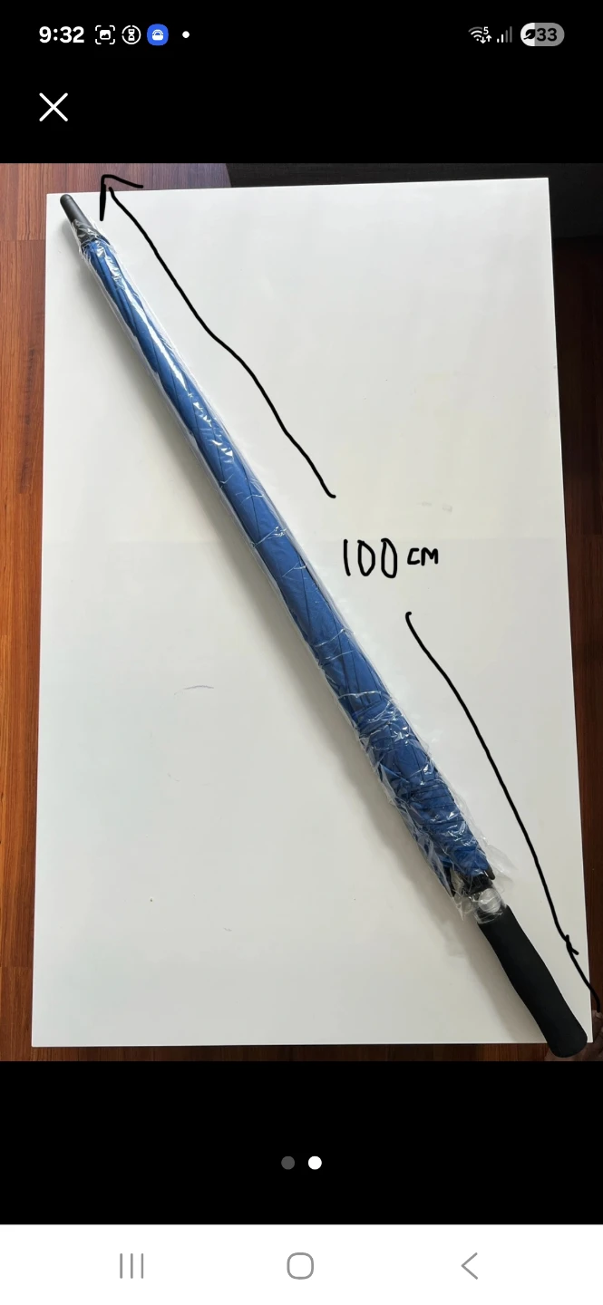 Hyundai Blue Umbrella - photo 2