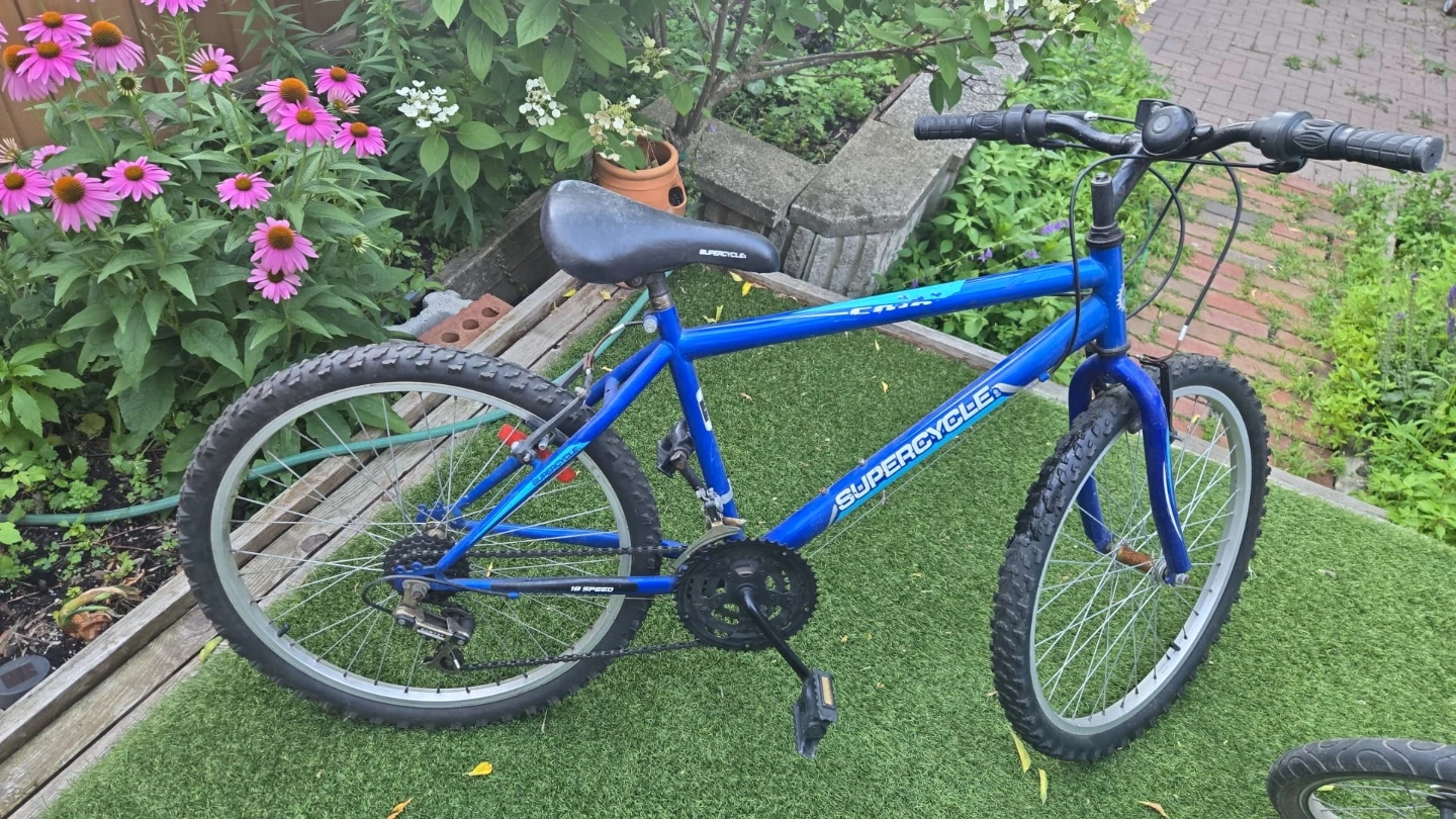 Blue Supercycle Boys Mountain Bike