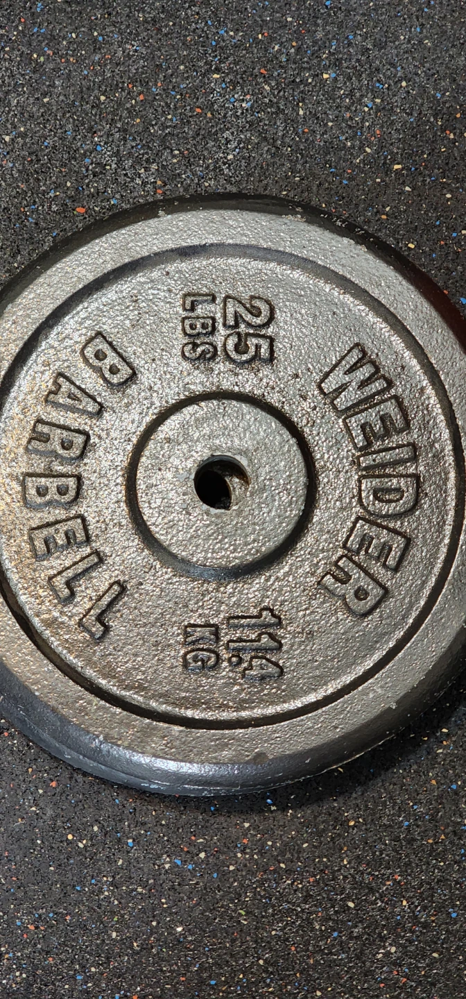 Weider 25 LB Barbell Weight Plate