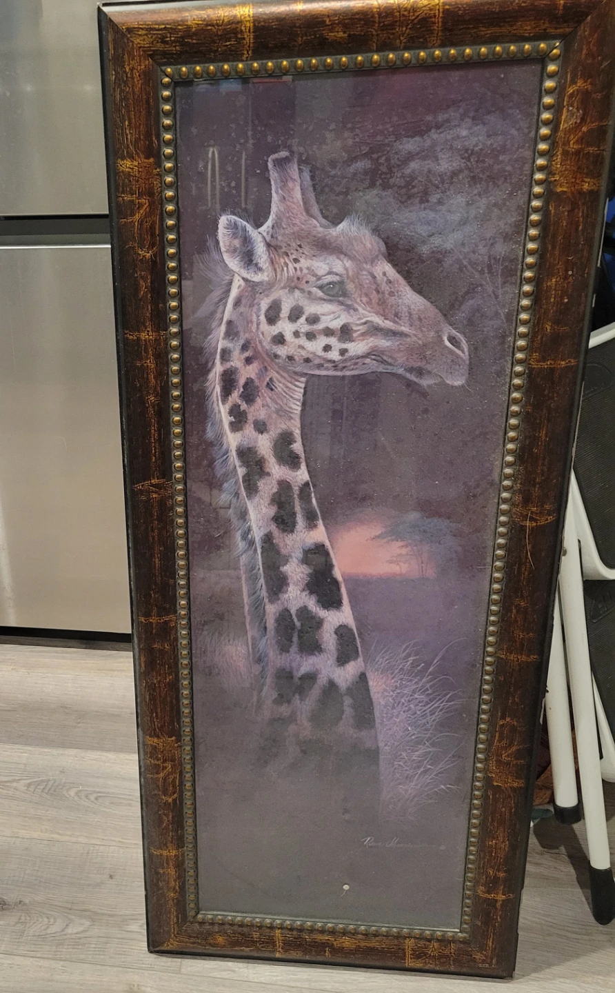 Framed Wildlife Art Prints (Set of 5)