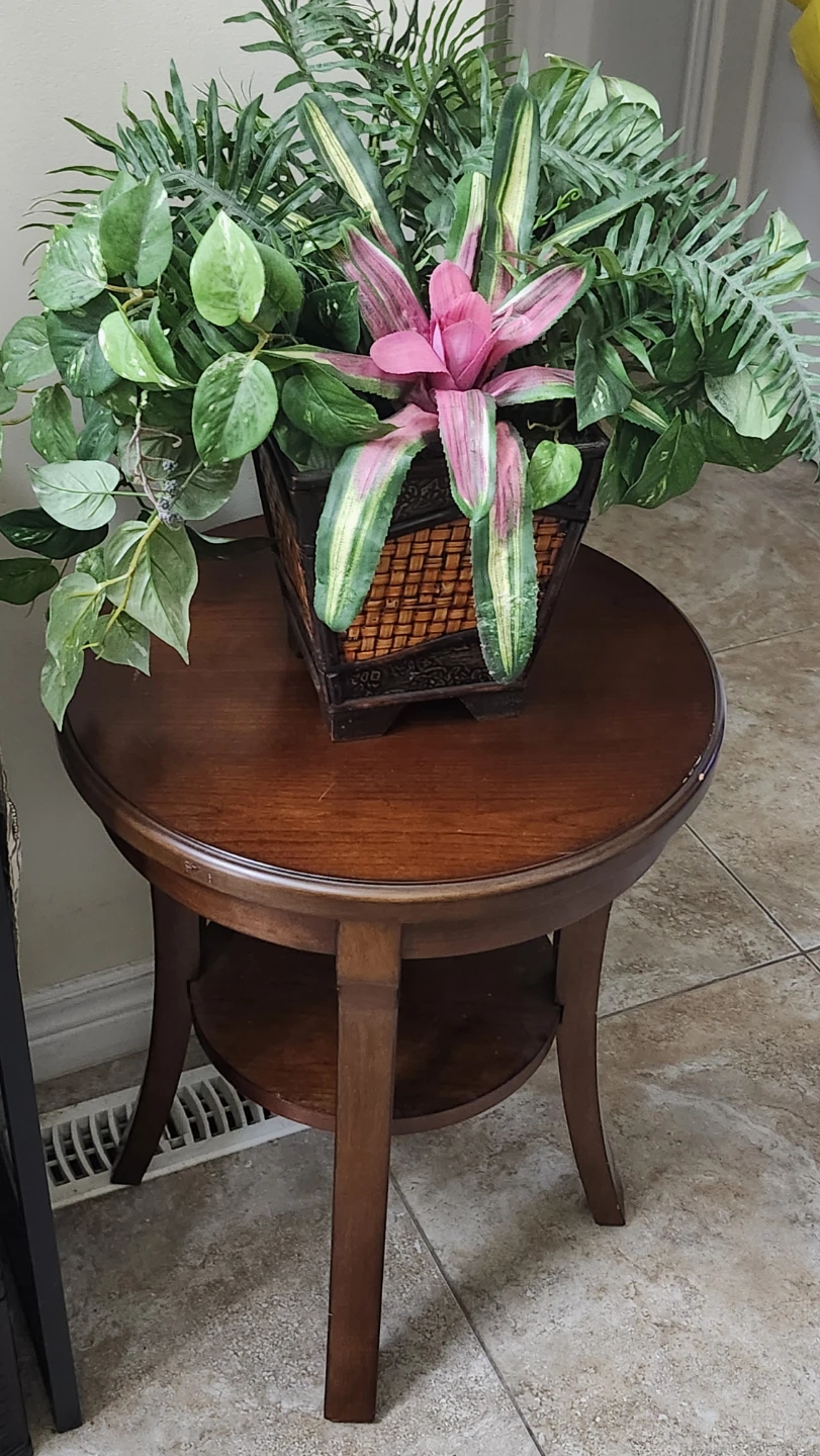 Plant and table