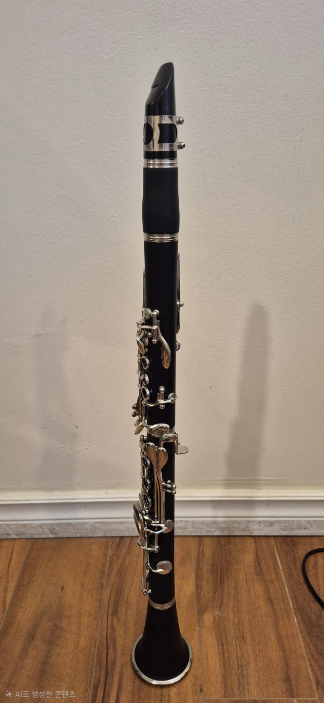 Bb Clarinet - photo 2