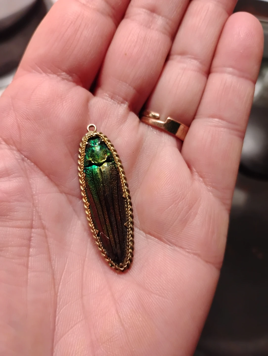Rare Vintage Iridescent Beetle Scarab Pendant