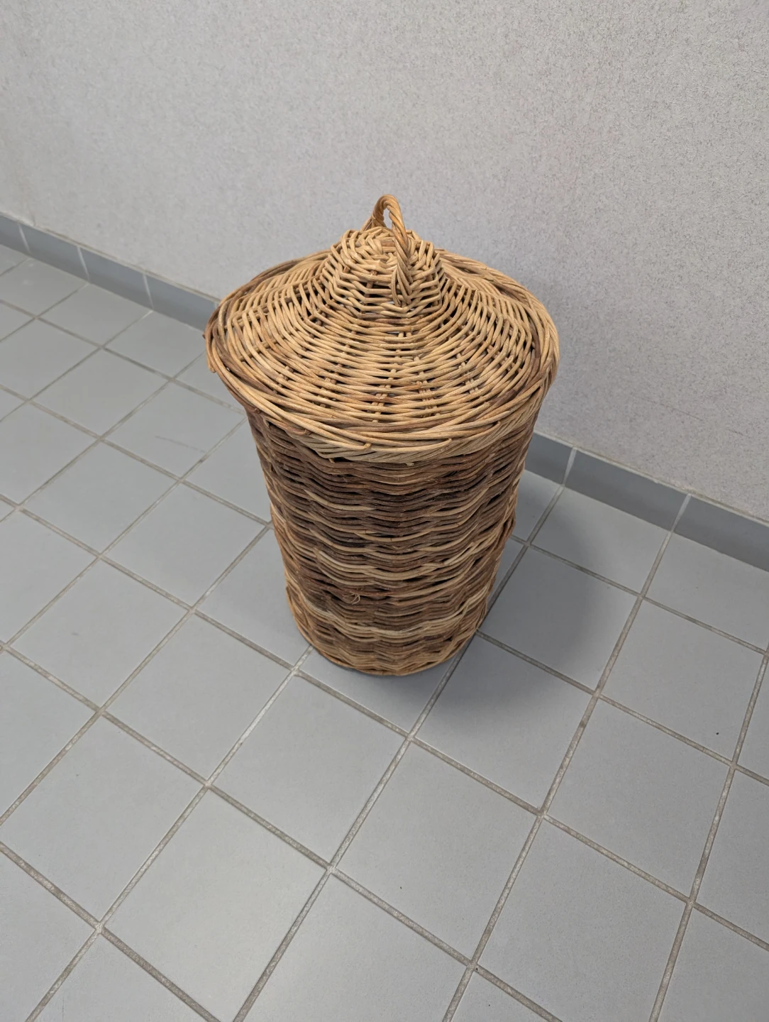 Woven Basket with Lid