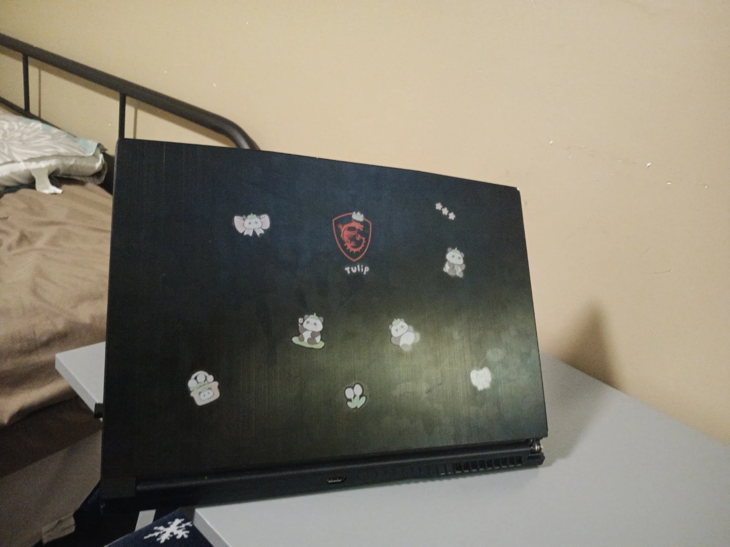 MSI Gaming Laptop - photo 3