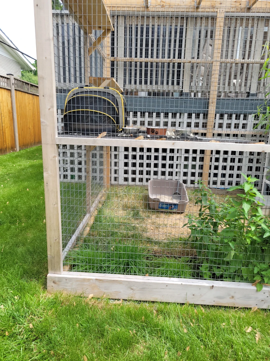 Outdoor Cat Enclosure with Shelves - photo 3