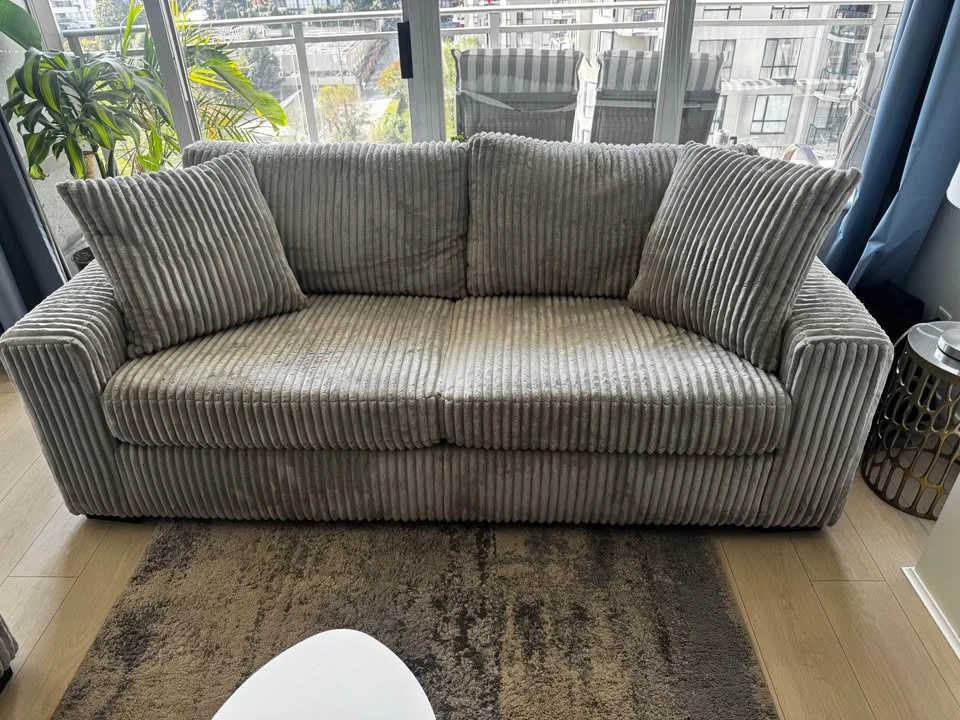 6 months old 2 full sized couches - photo 2