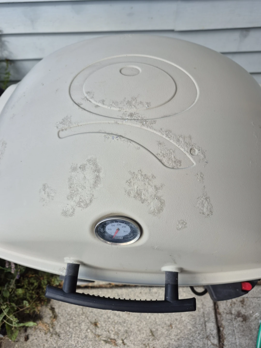 WEBER GRILL - photo 3