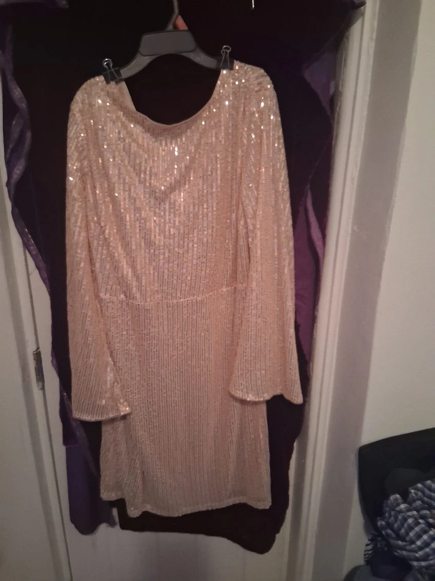 Get it out the closet - photo 2