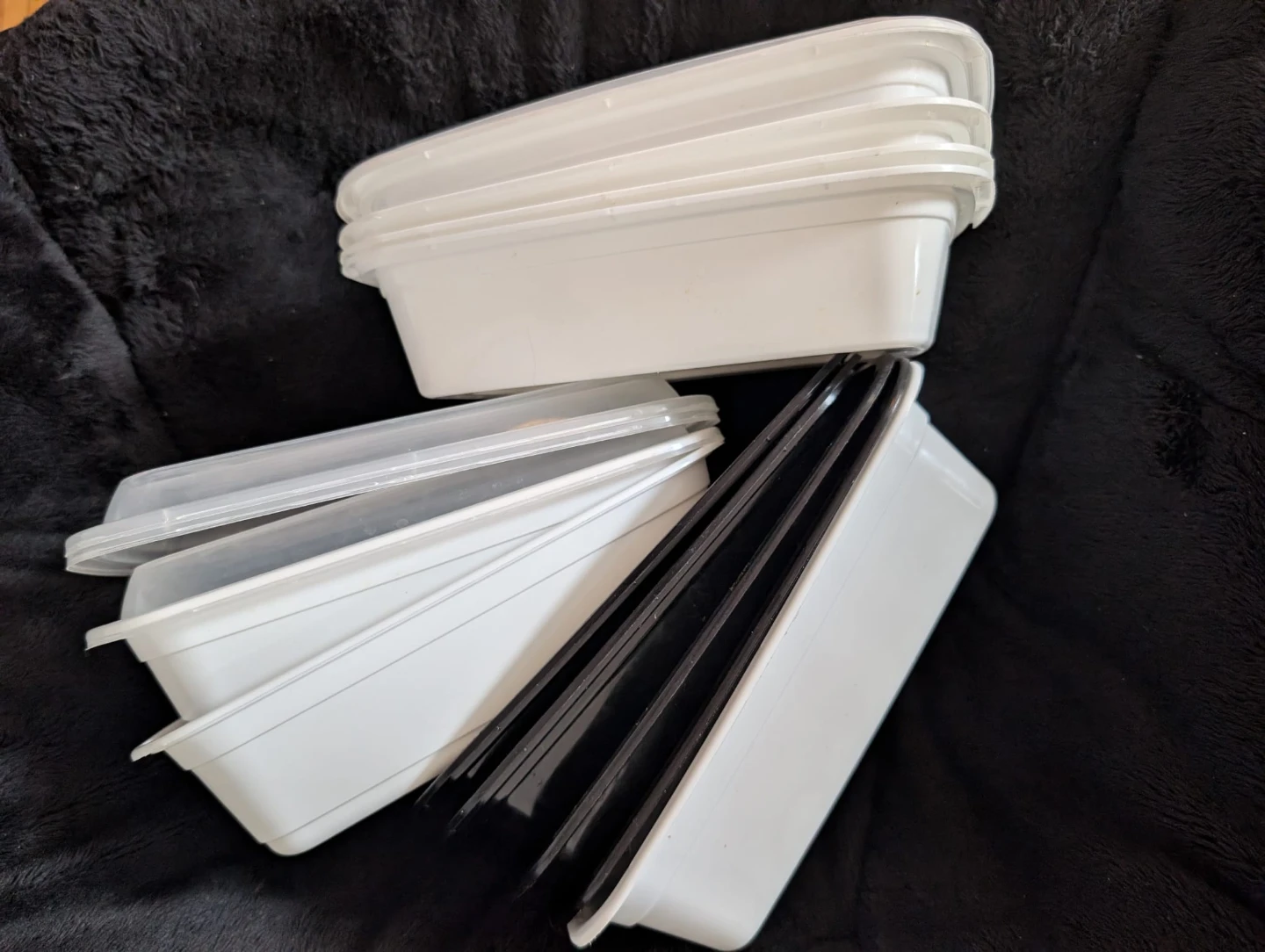 Set of  Food Storage Containers with Lids