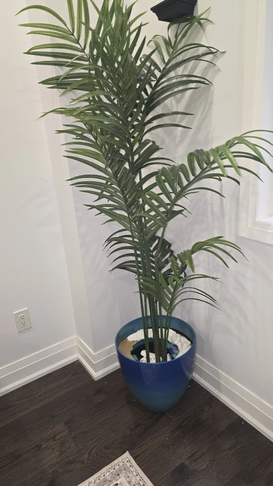 Artificial Palm Plant in Blue Pot - photo 3