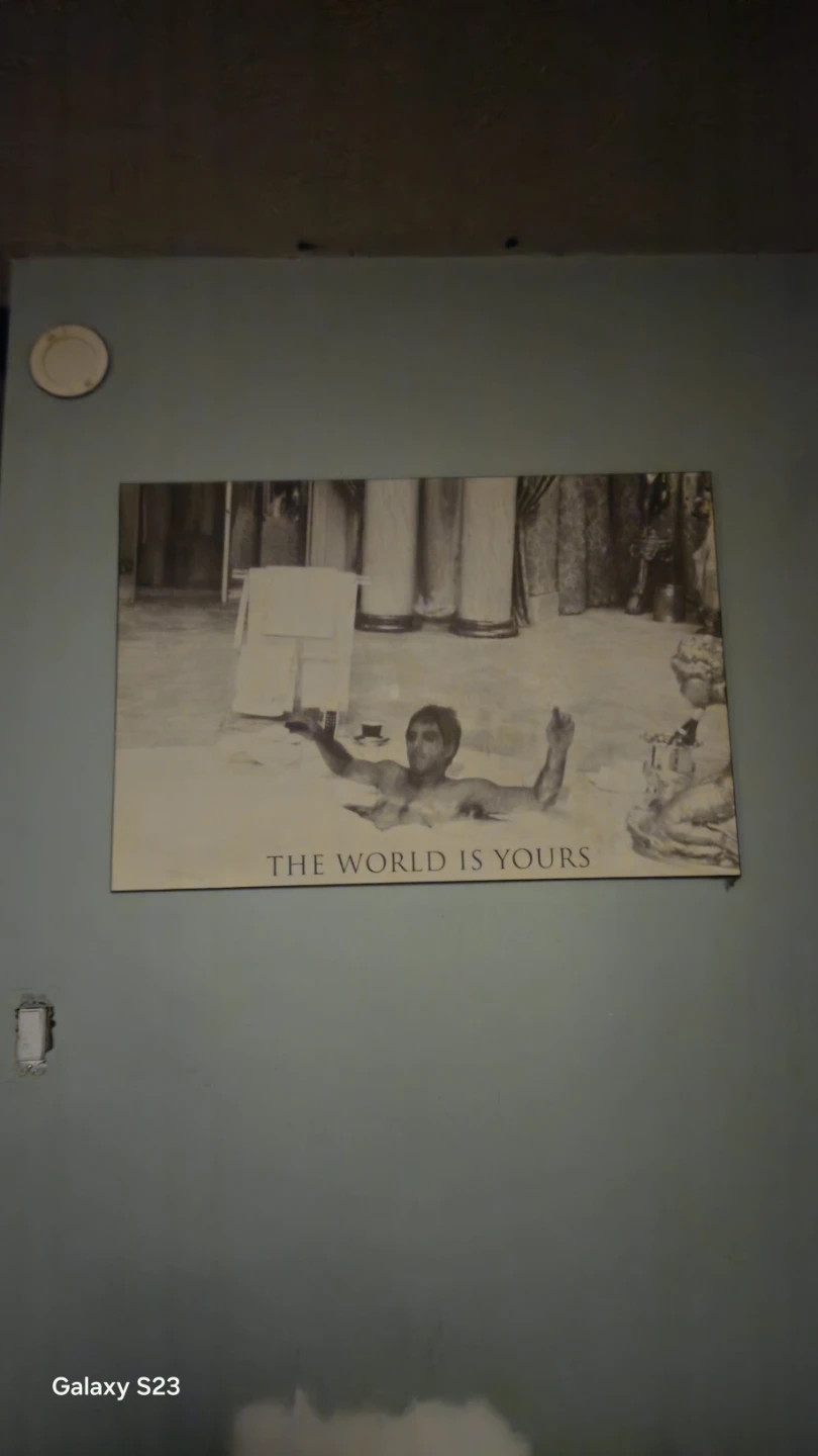 Scarface "The World Is Yours" Wall Art - photo 4