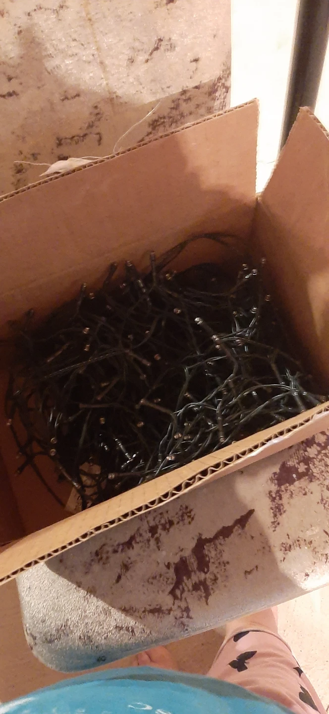 String Lights in Box
