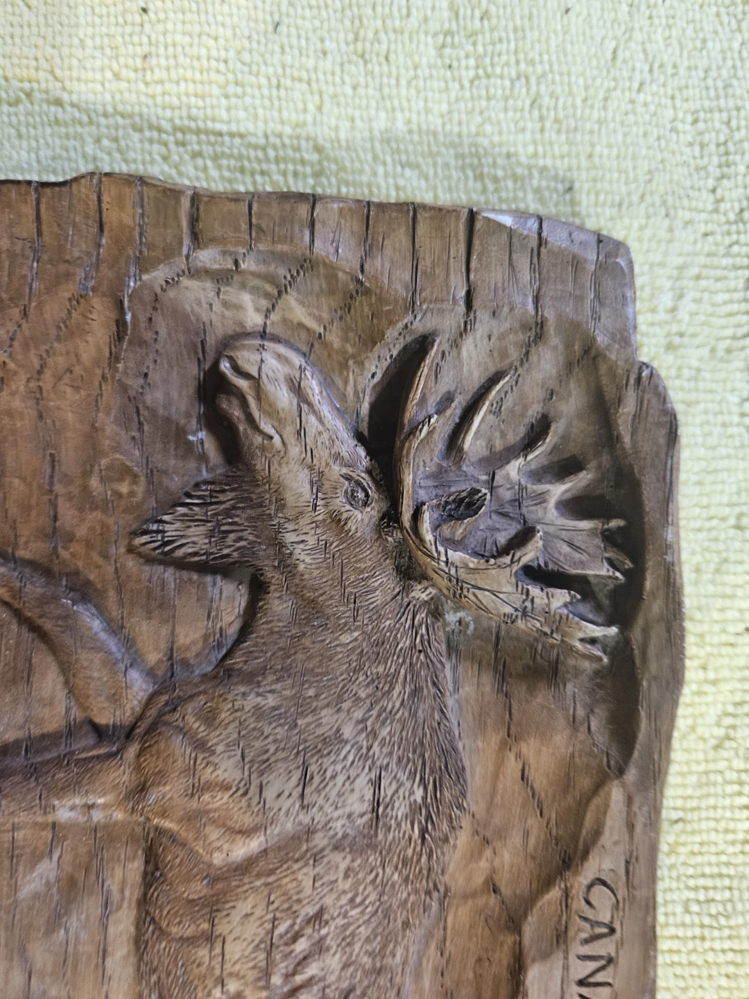 Carved Moose Canadian Wildlife Plaque - photo 3