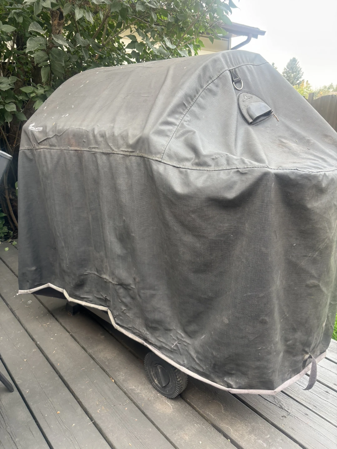 Charmglow Propane Gas Grill - photo 3