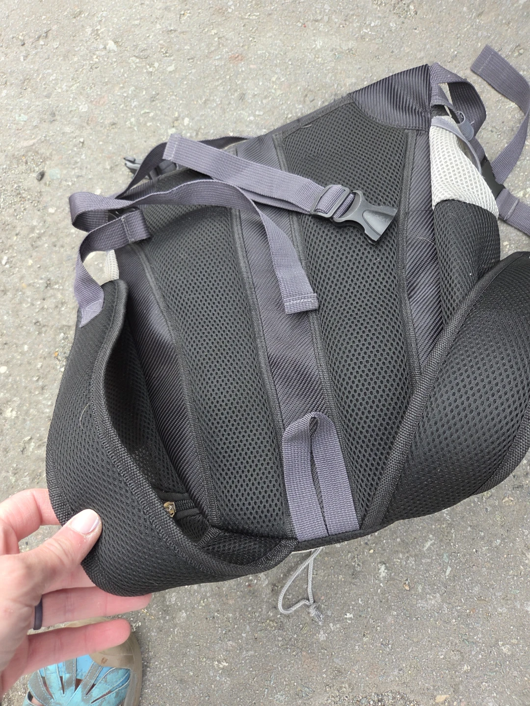 Black & Grey Mesh Dog Backpack - photo 5