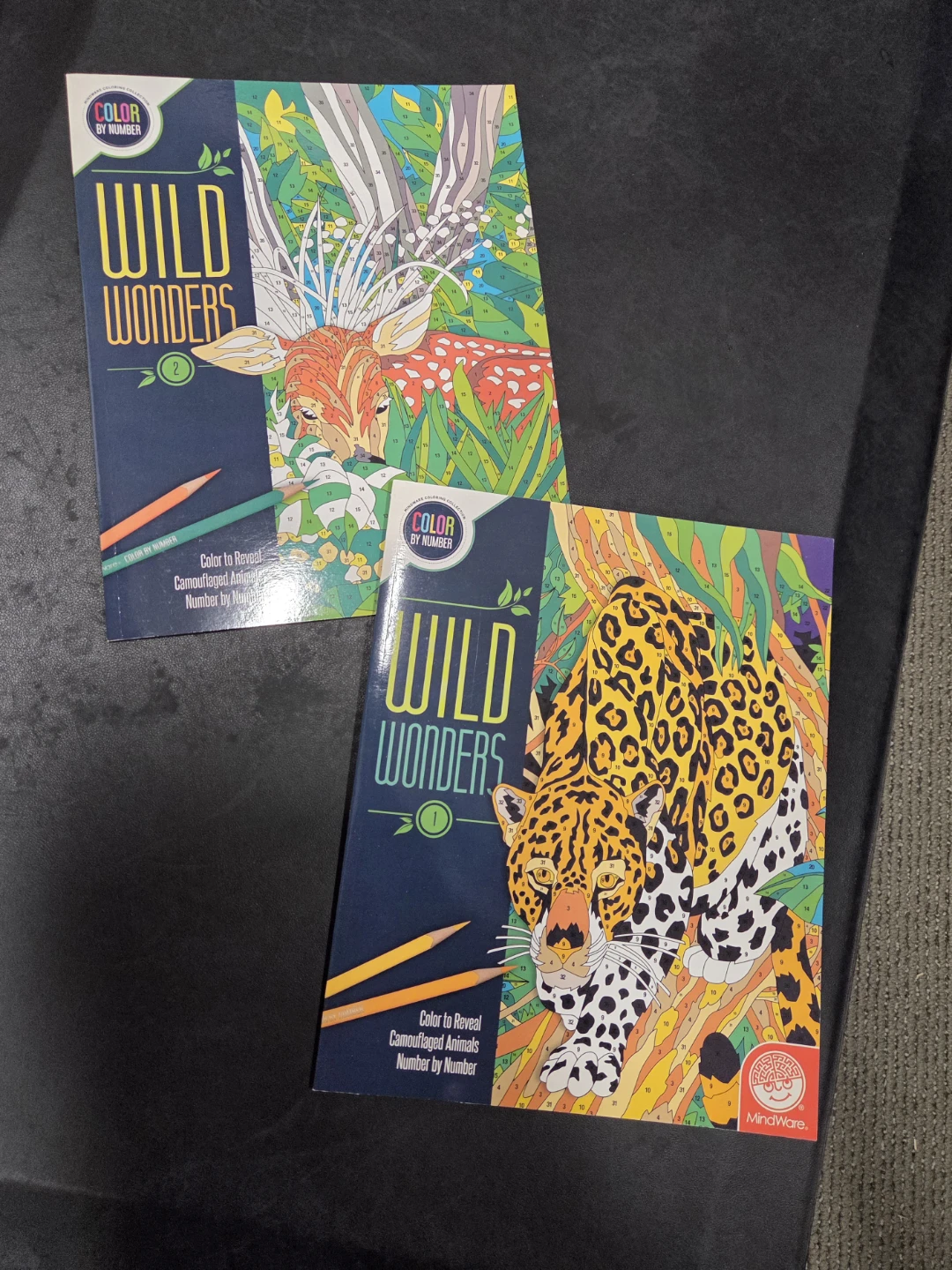 MindWare Wild Wonders Color by Number Books (Set of 2)