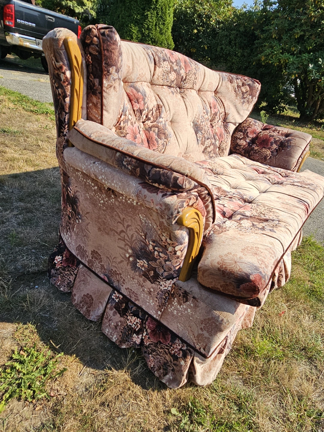Free Vintage Sofa - photo 2