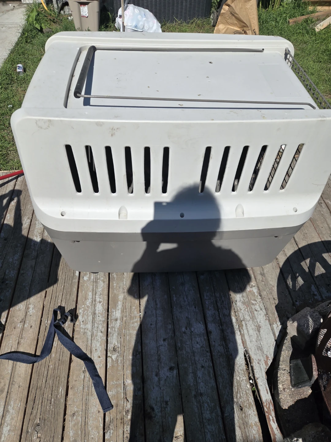 Large Plastic Pet Carrier - photo 4