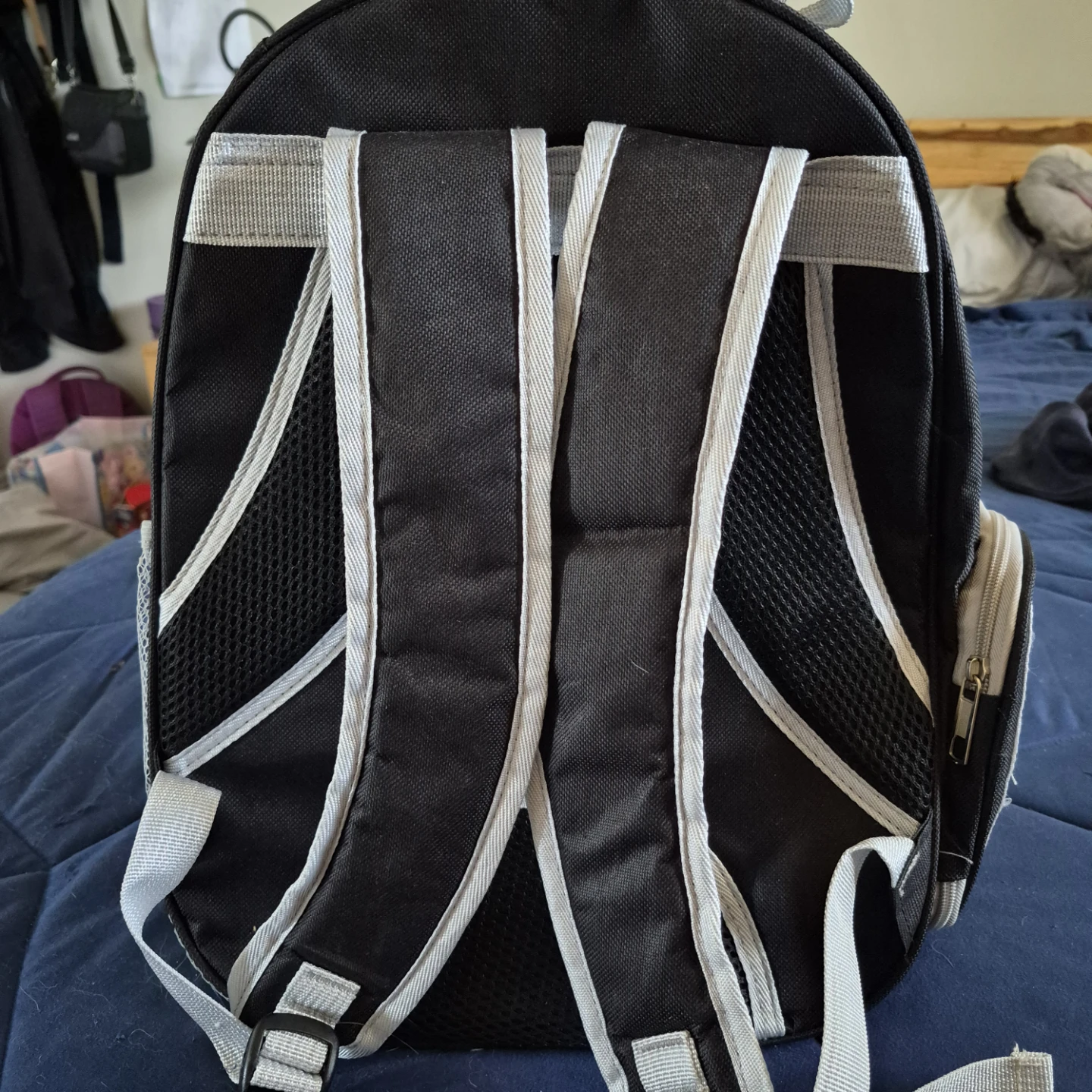 Pet Carrier Backpack - Clear Bubble - photo 2
