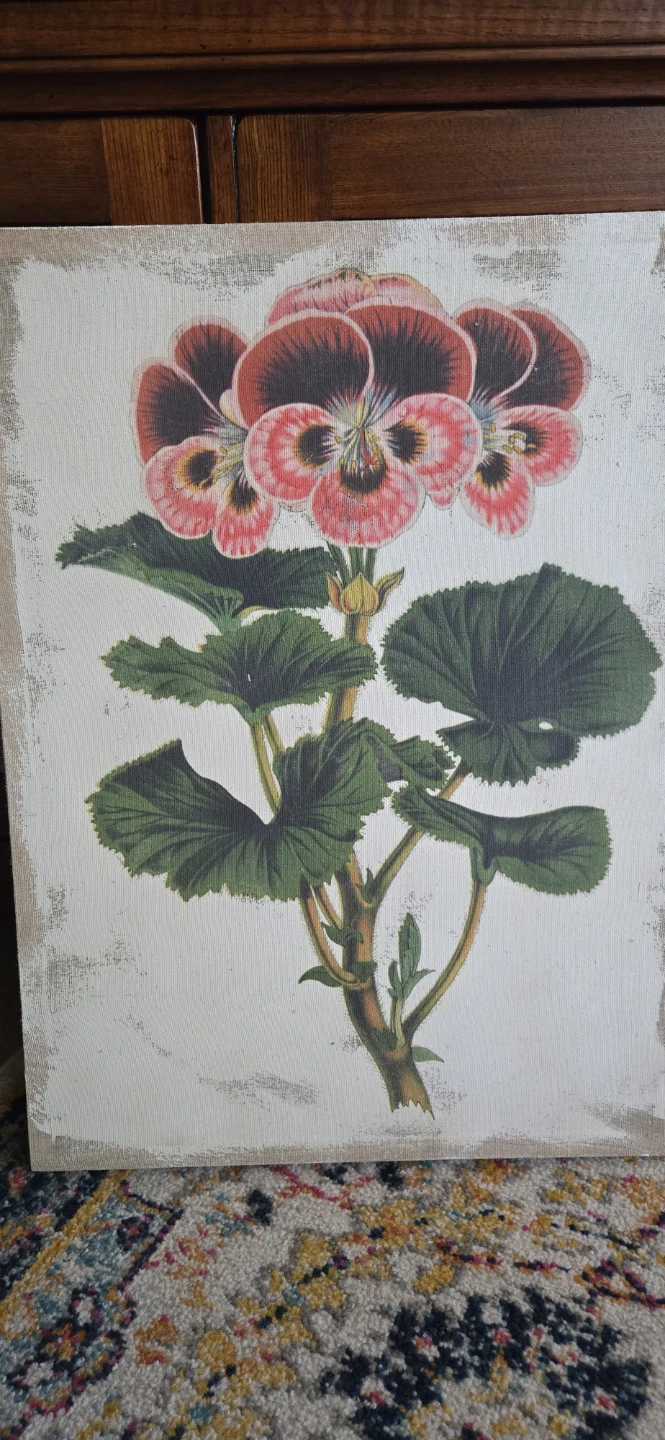 Set of 2 Botanical Canvas Collezione Fresco Prints - photo 2
