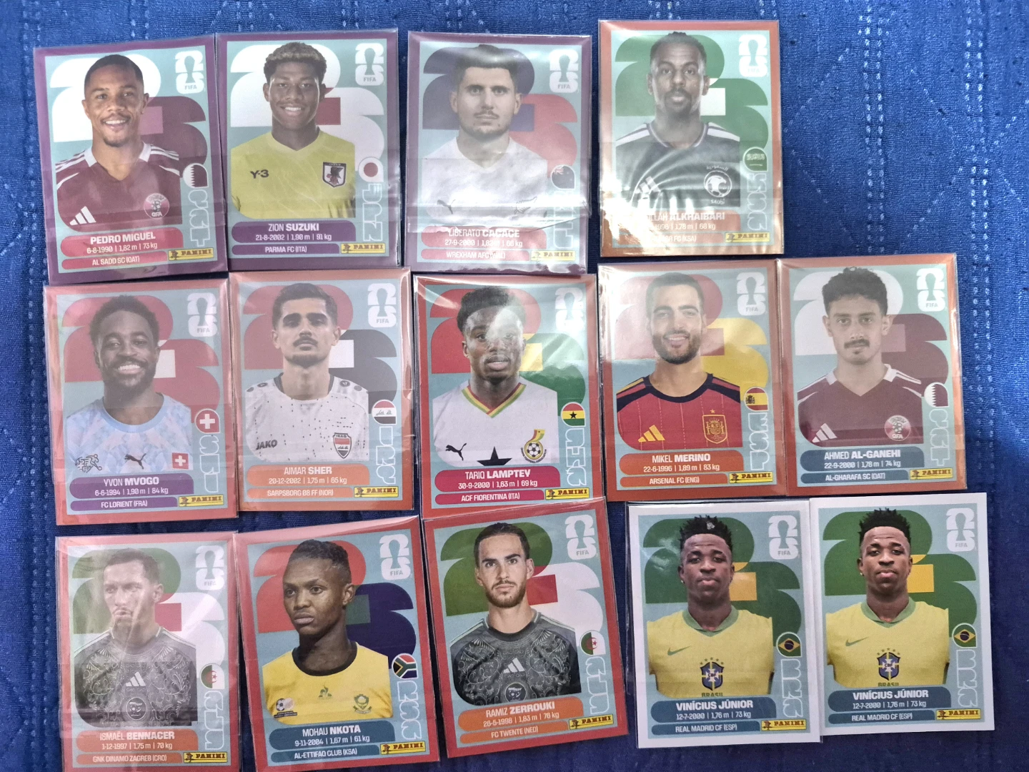 Panini FIFA World Cup Qatar 2022 Stickers Collection - photo 5