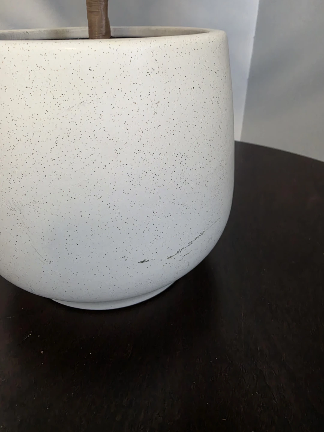 Faux Cedar Tree in Speckled Pot - photo 4