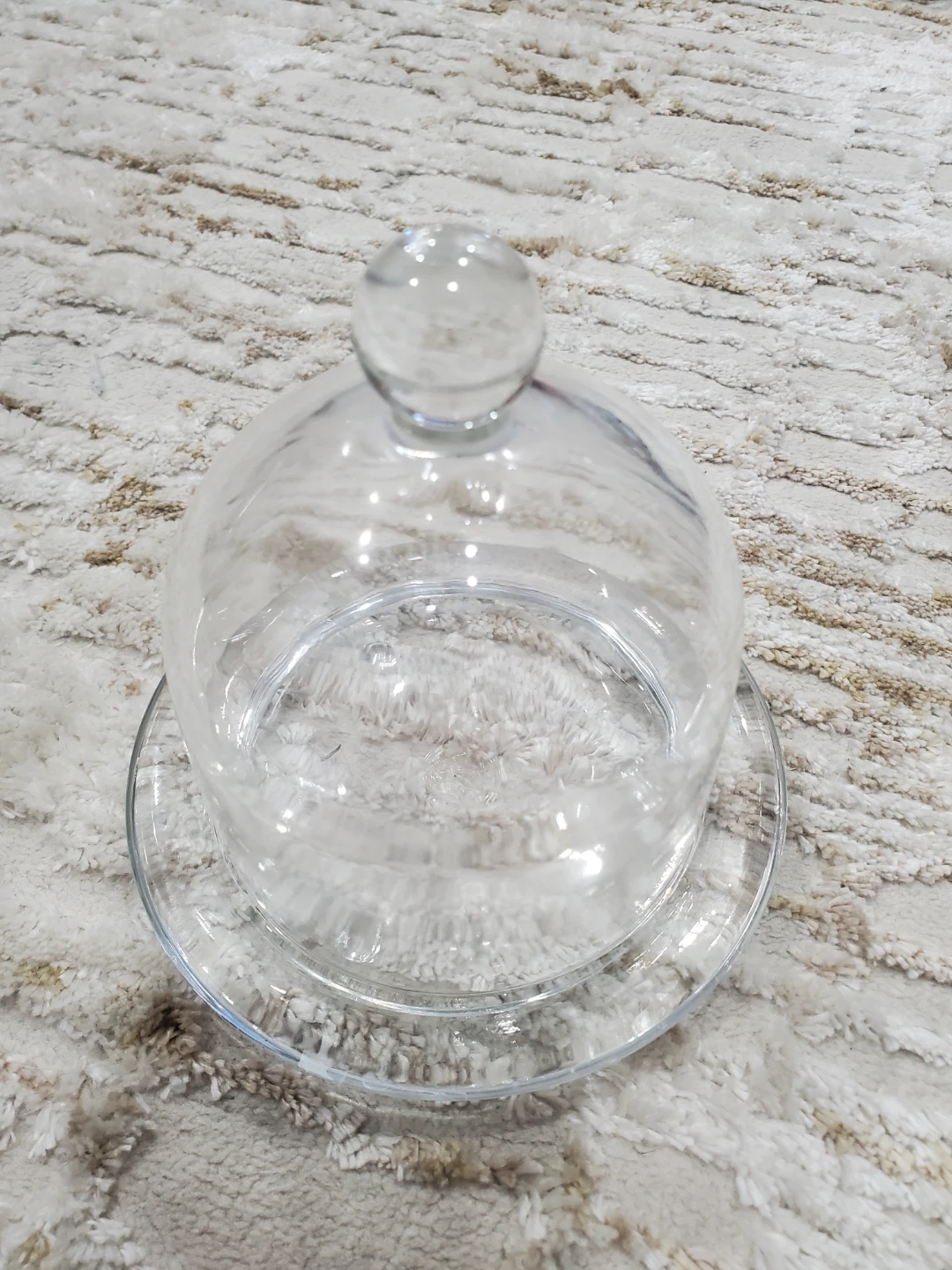 Glass Dome and Plate Set