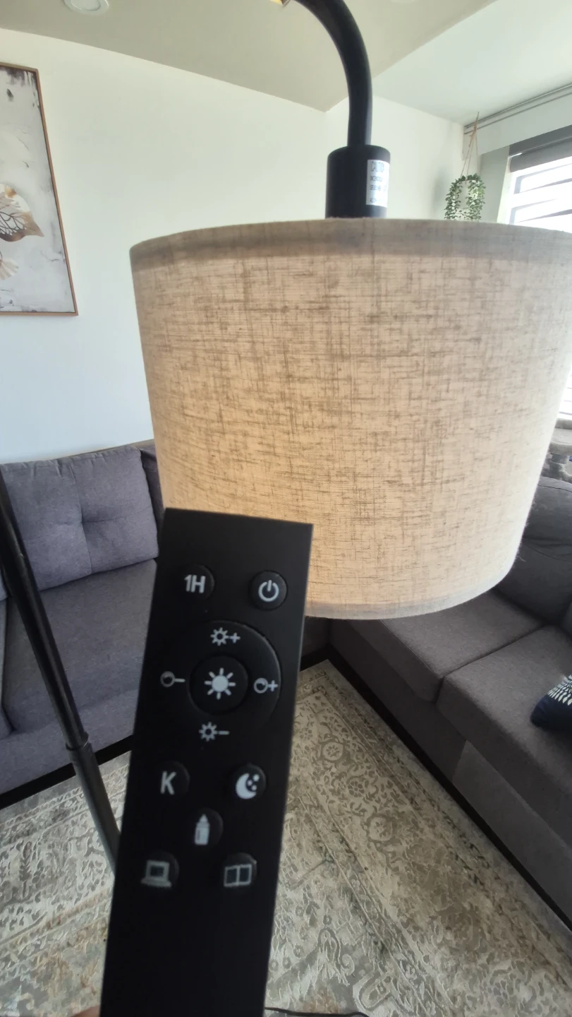 Arc Floor Lamp with Remote Control - photo 2