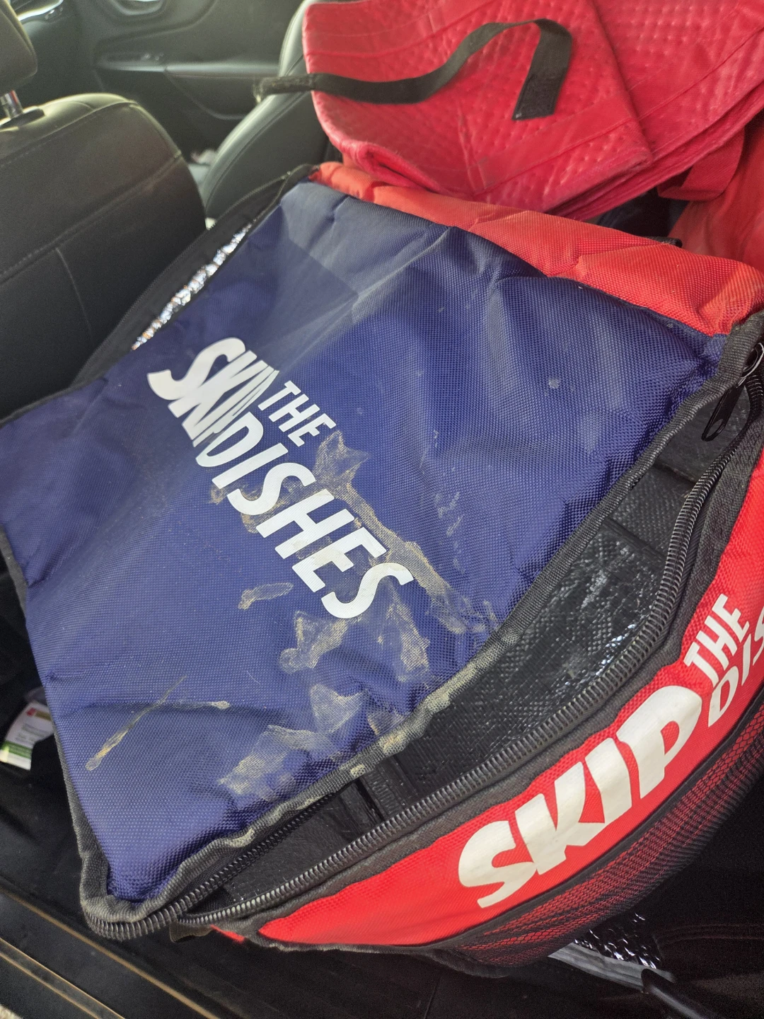 SkipTheDishes Insulated Delivery Bag