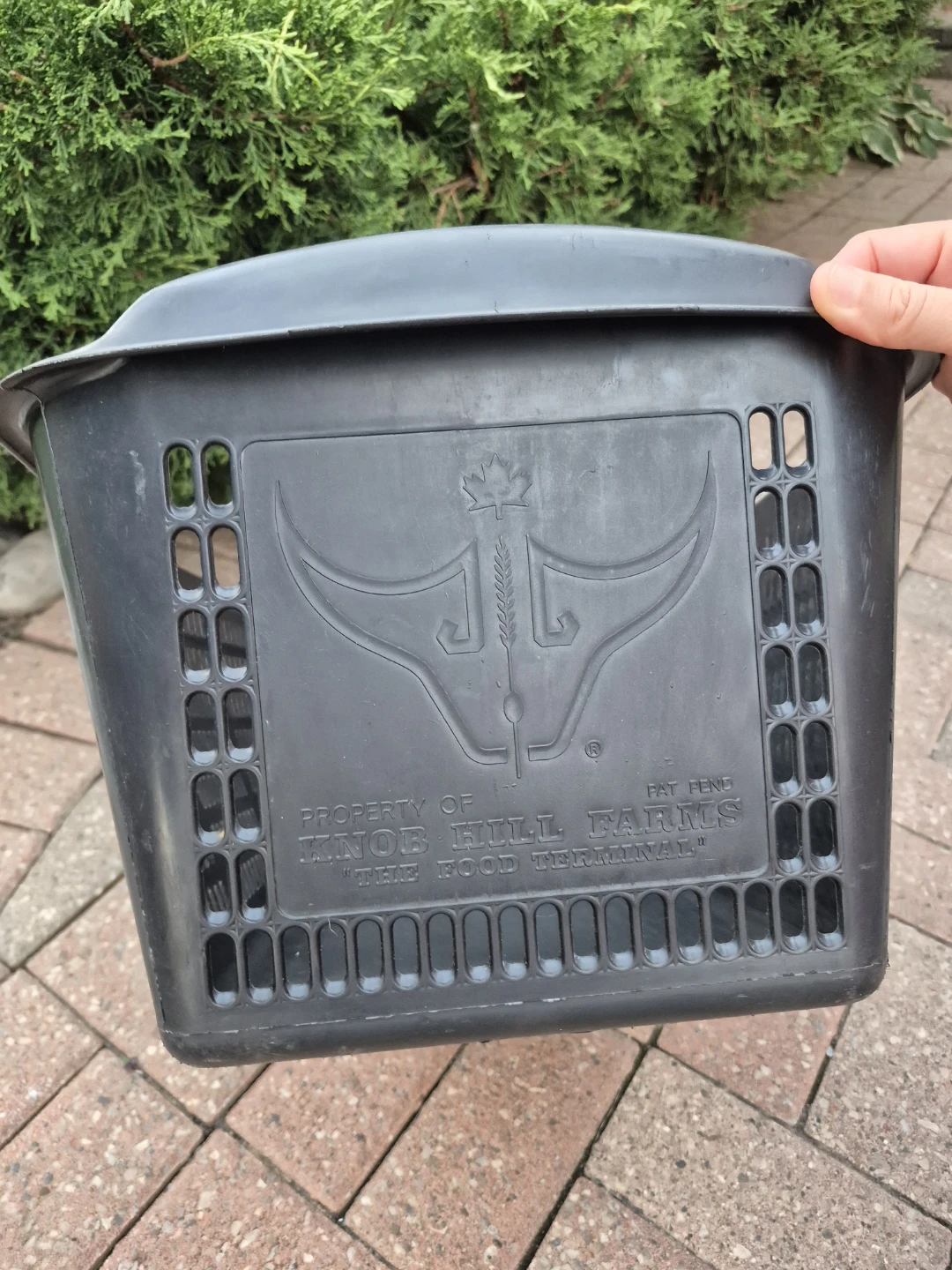 Black Plastic Bin - Kinnor Hill Farms - photo 2