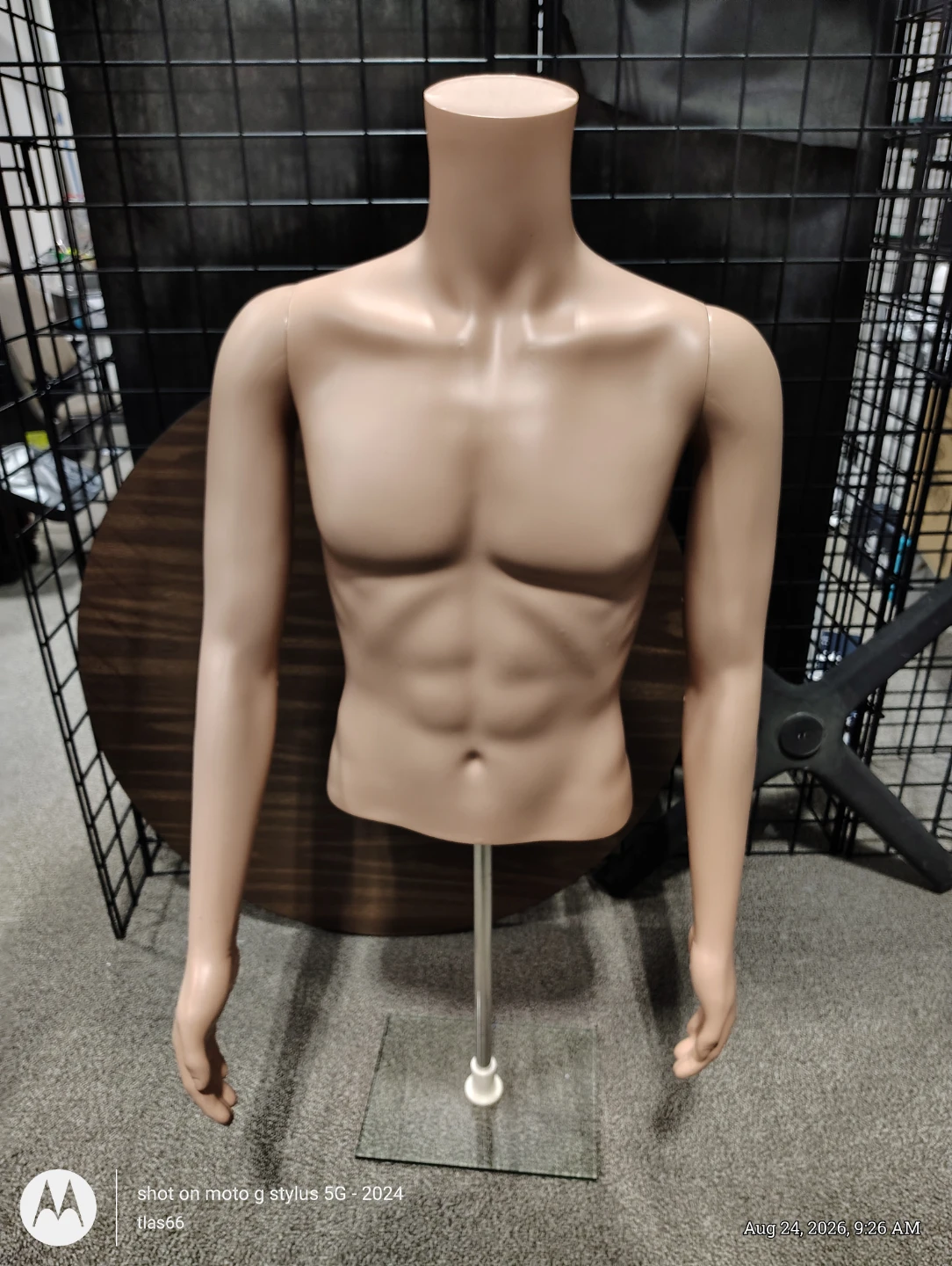 Male Mannequin Torso