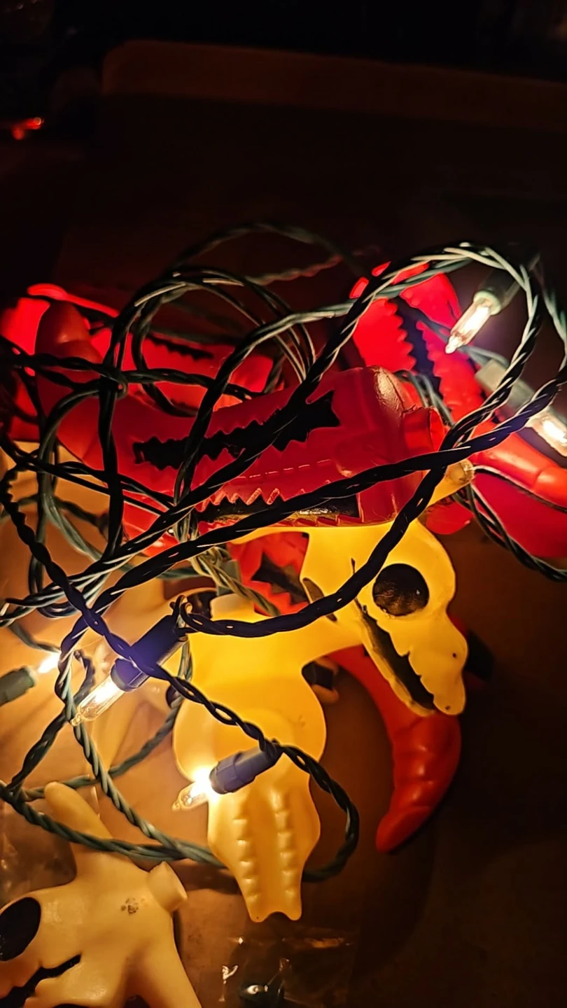 Primal Lite Southwest String Light Set - photo 2
