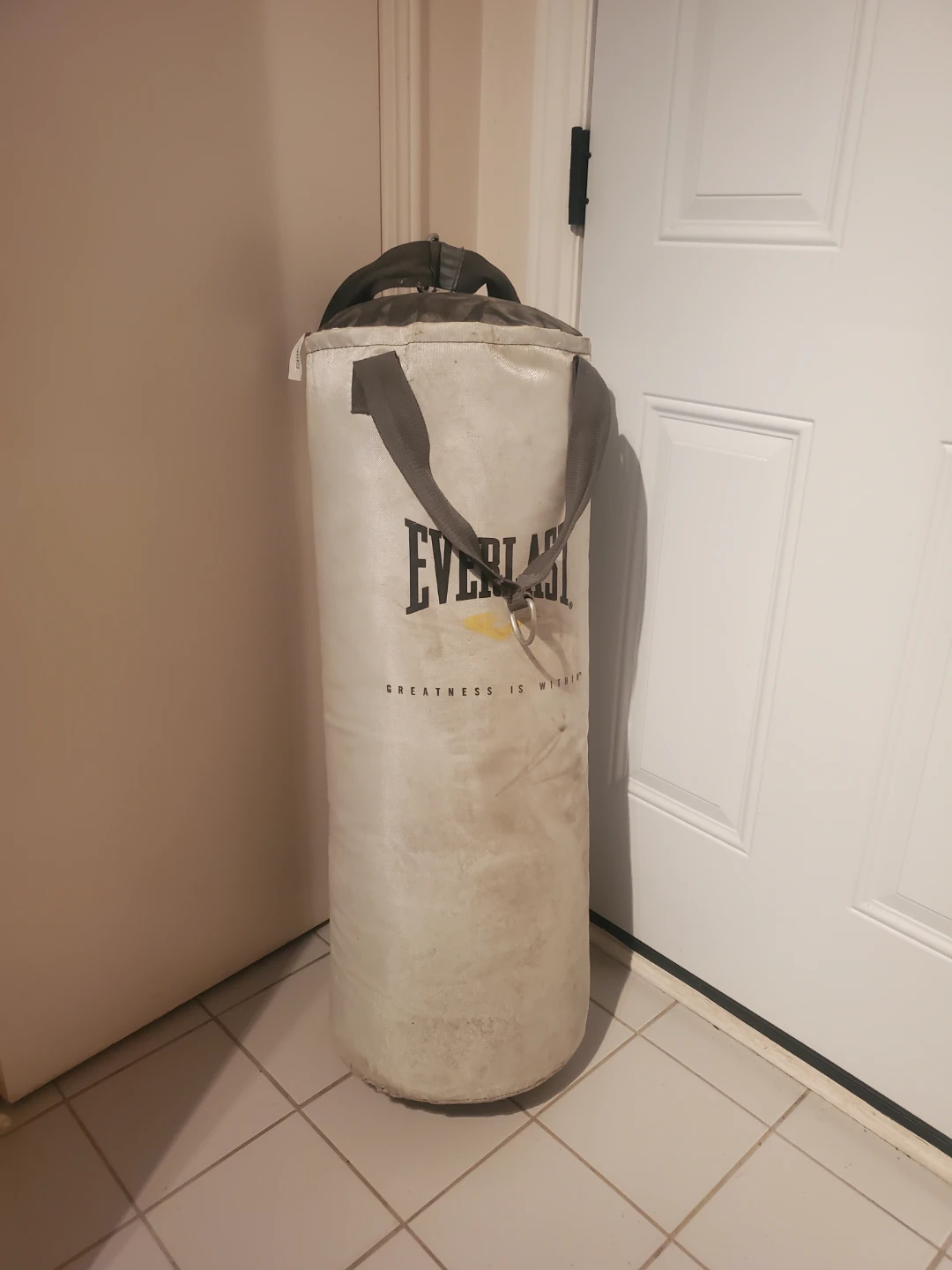 Everlast Punching Bag