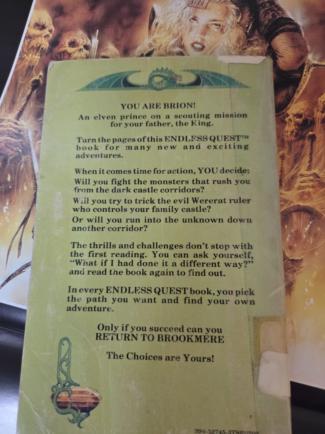 Dungeons & Dragons Endless Quest Book: Return to Brookmere - photo 2